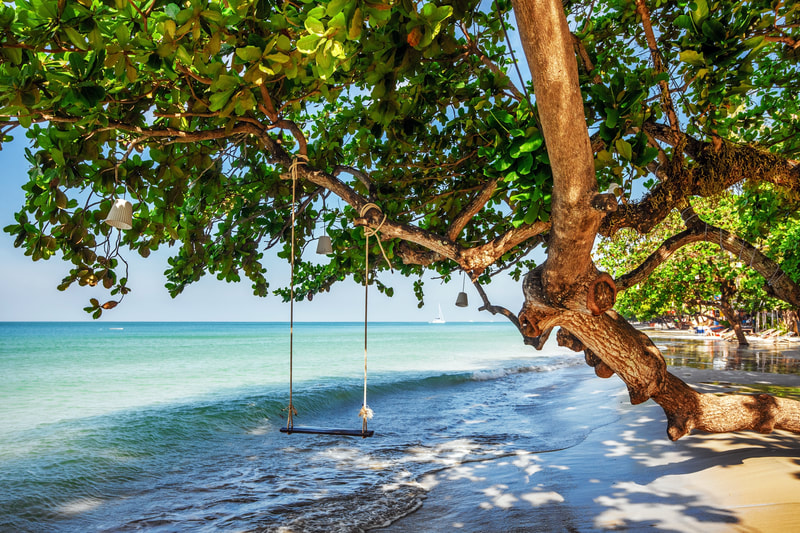 tropical beach swing