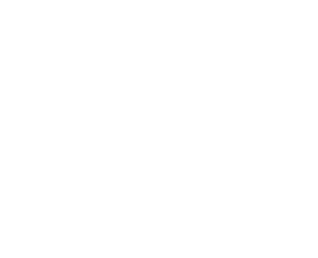 Certified Sandals Specialist Silver